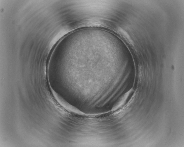 X0000088601226200706081344