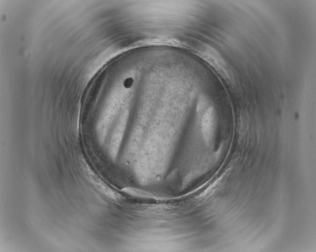 X0000088601228200706081344