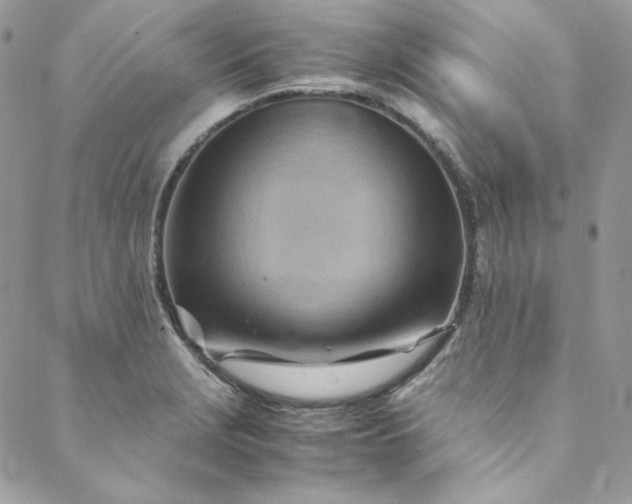 X0000088601229200706081344