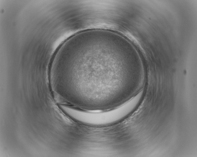 X0000088601230200706081344