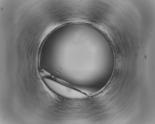 X0000088601231200706081344