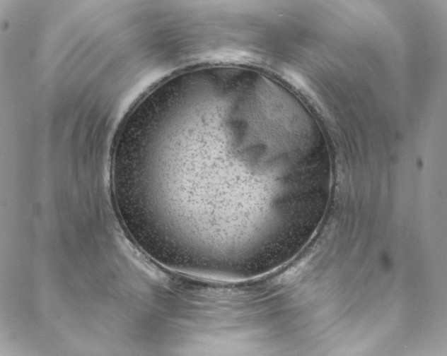 X0000088601232200706081344