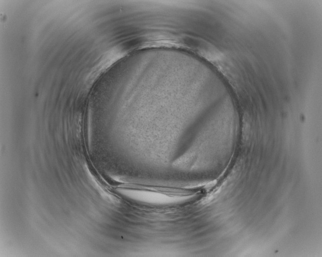 X0000088601233200706081344