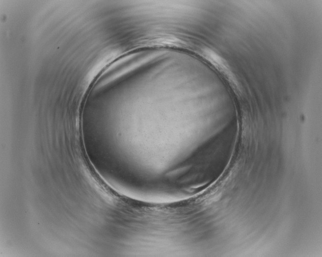 X0000088601234200706081344