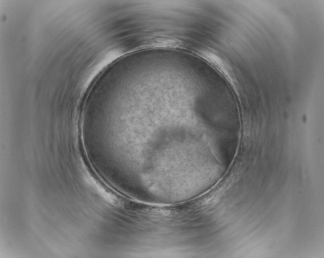 X0000088601235200706081344