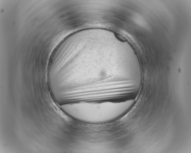 X0000088601236200706081344