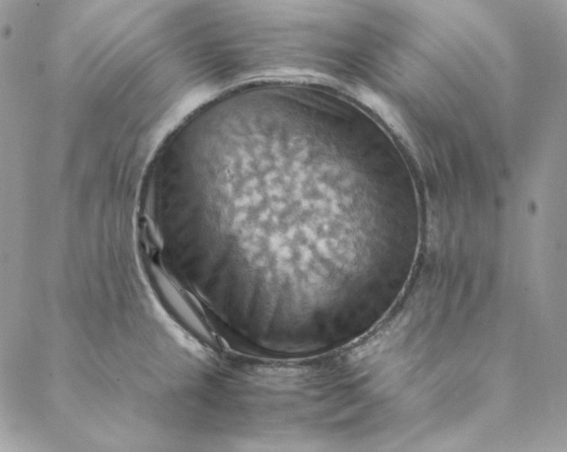 X0000088601237200706081344