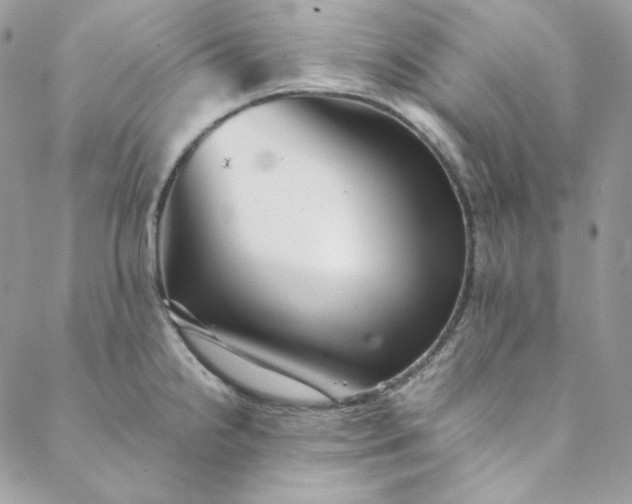 X0000088601238200706081344