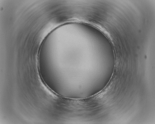 X0000088601239200706081345