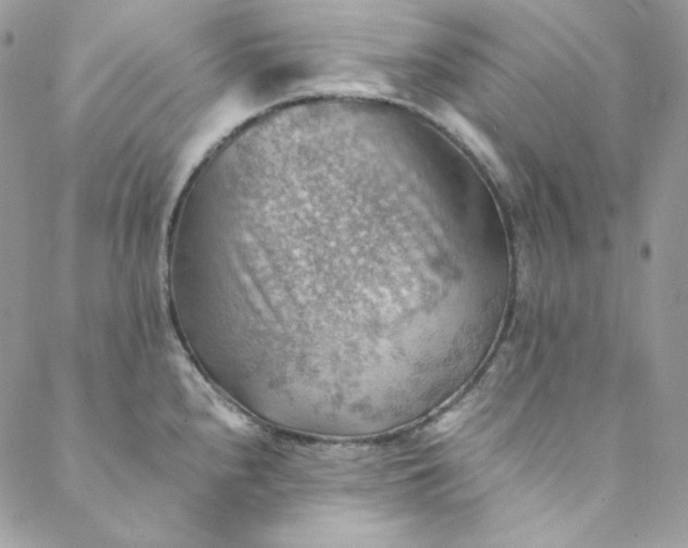 X0000088601240200706081345