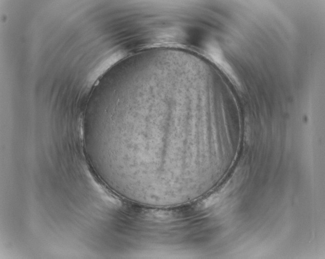 X0000088601241200706081345