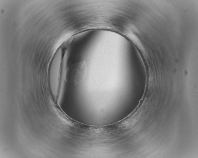 X0000088601242200706081345