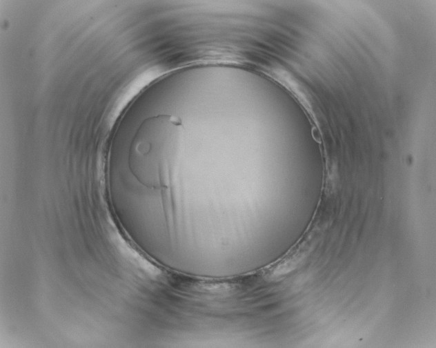 X0000088601243200706081345