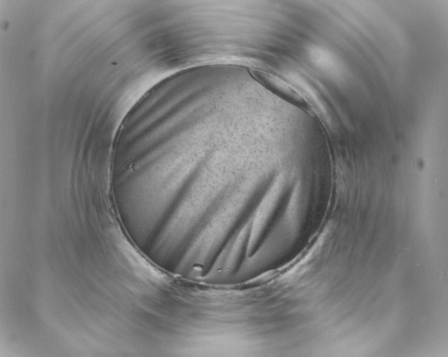 X0000088601244200706081345