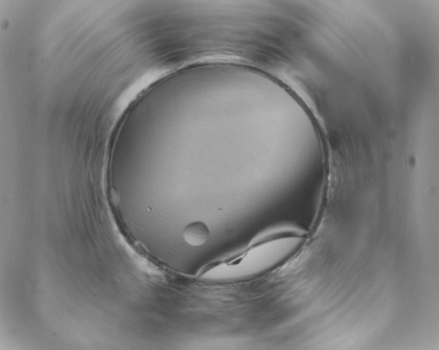 X0000088601245200706081345