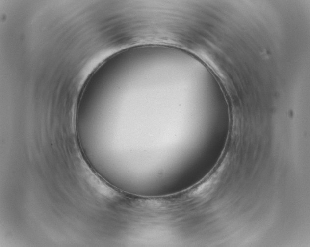 X0000088601246200706081345