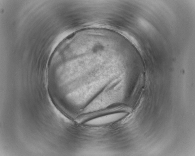 X0000088601247200706081345