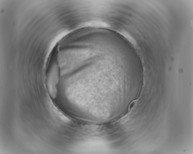 X0000088601248200706081345