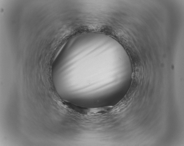 X0000088601249200706081344