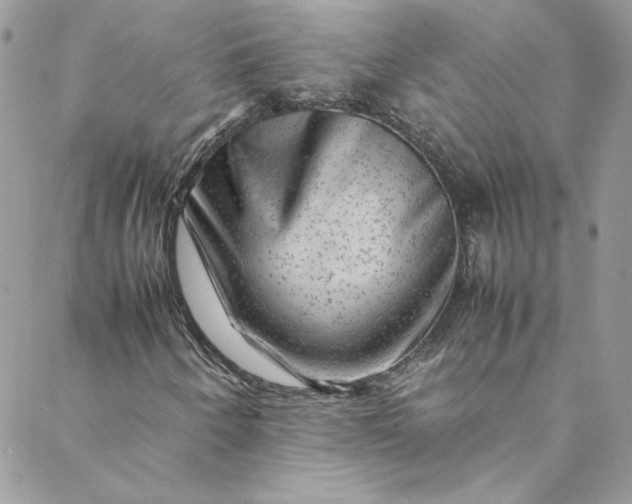 X0000088601250200706081344