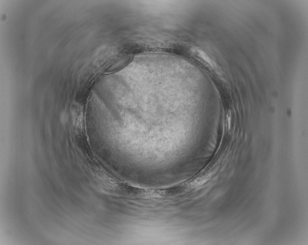 X0000088601251200706081344