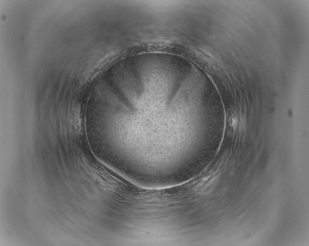 X0000088601252200706081344