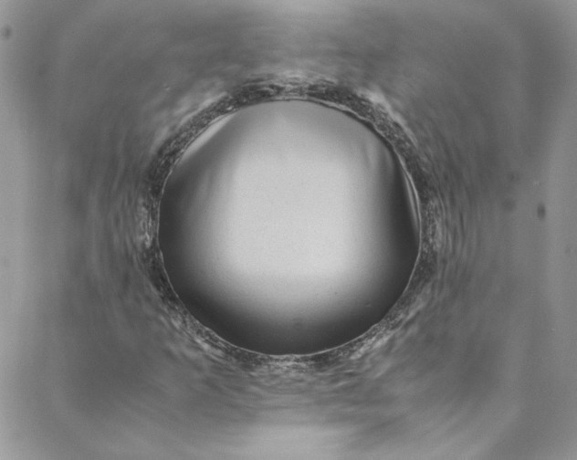 X0000088601253200706081344