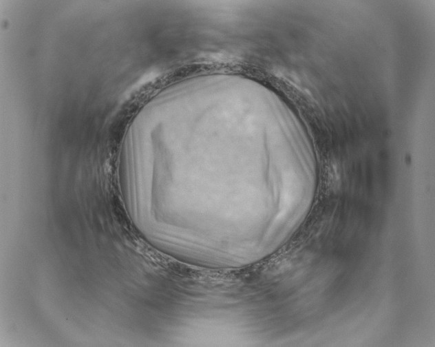 X0000088601254200706081344