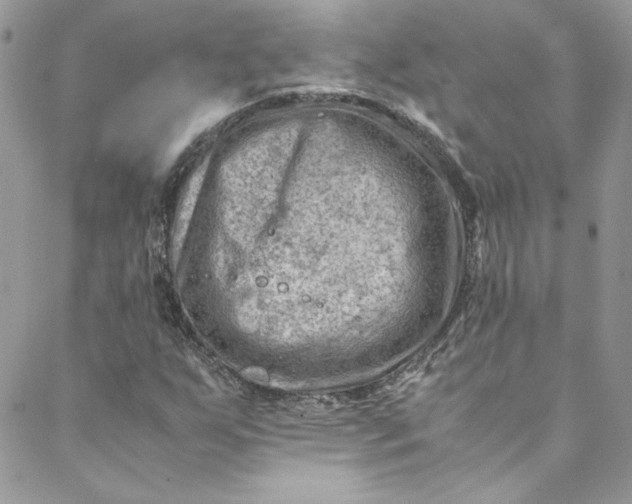 X0000088601255200706081344