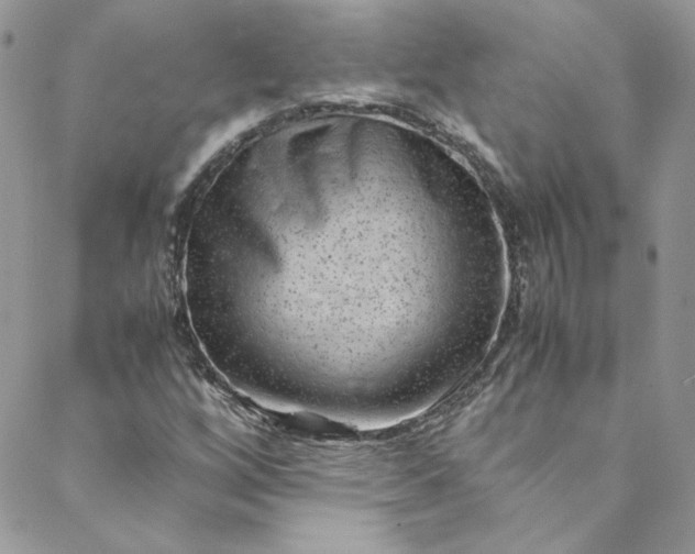 X0000088601256200706081344