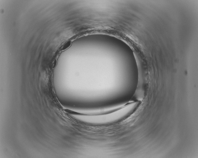 X0000088601257200706081344