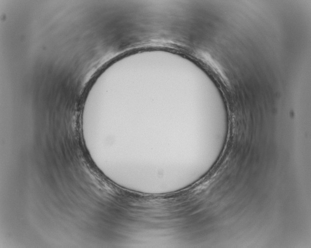 X0000088601260200706081344