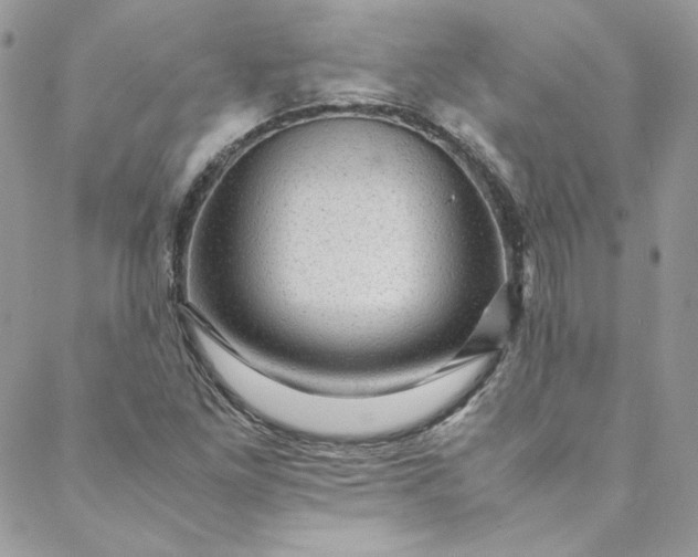 X0000088601261200706081344