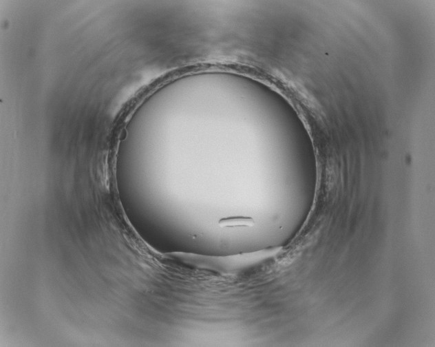 X0000088601262200706081344