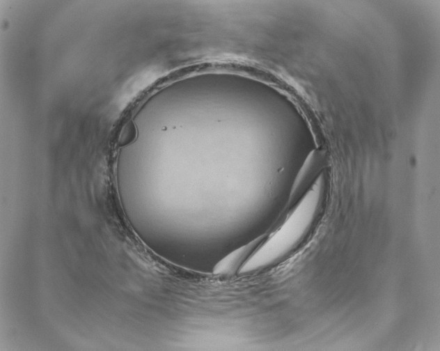 X0000088601263200706081344