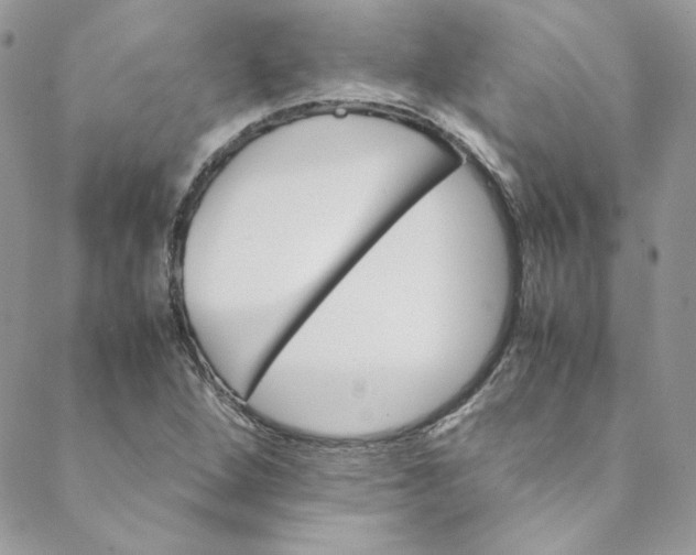 X0000088601264200706081344