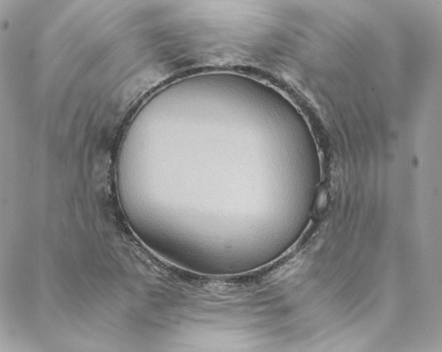 X0000088601265200706081344