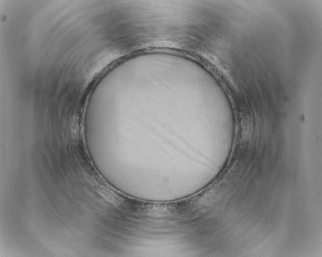 X0000088601266200706081344