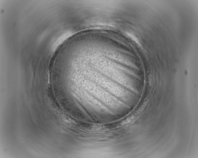 X0000088601267200706081344