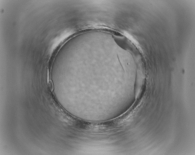 X0000088601269200706081344