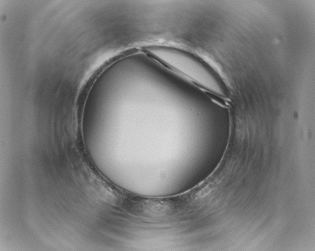 X0000088601270200706081344