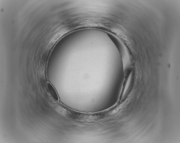 X0000088601273200706081343