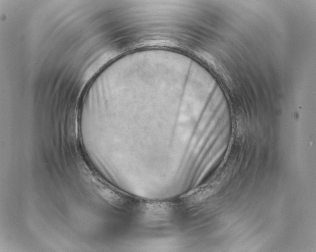 X0000088601274200706081343