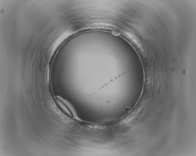 X0000088601275200706081343