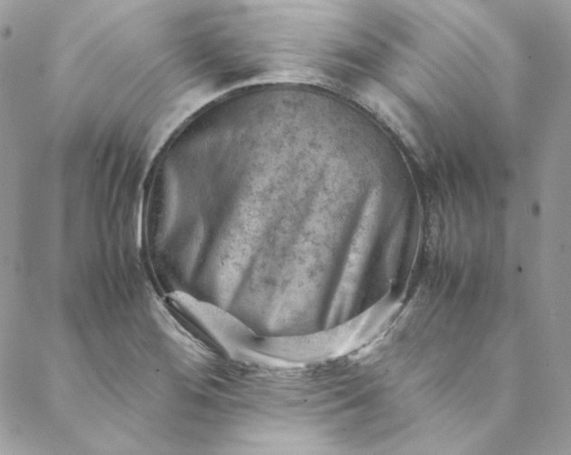 X0000088601276200706081343