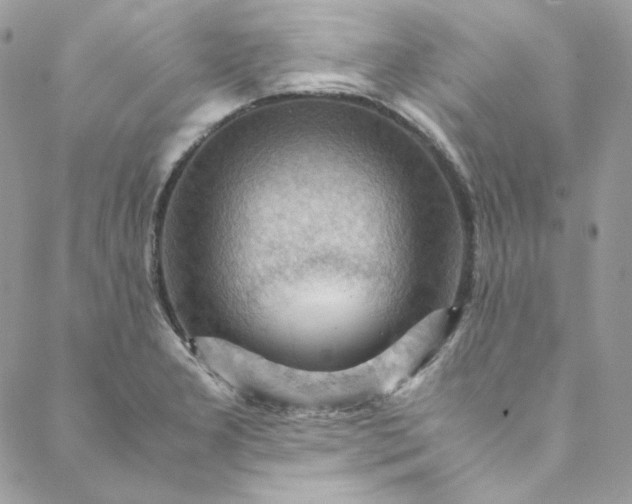 X0000088601277200706081343