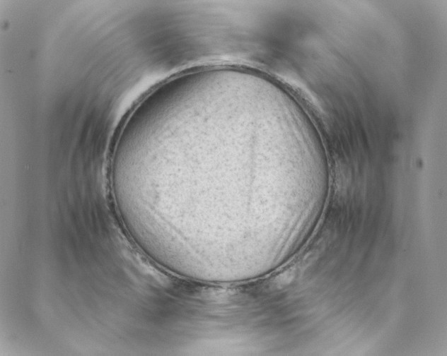 X0000088601278200706081343