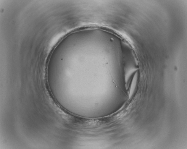 X0000088601279200706081343