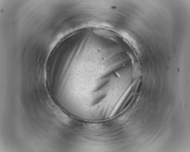 X0000088601280200706081343