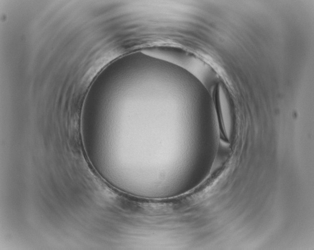 X0000088601281200706081343